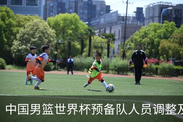 中国男篮世界杯预备队人员调整及后续影响分析